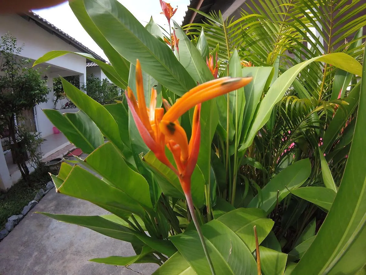 Flamant Rose 4*, Preăh Sihanŭk