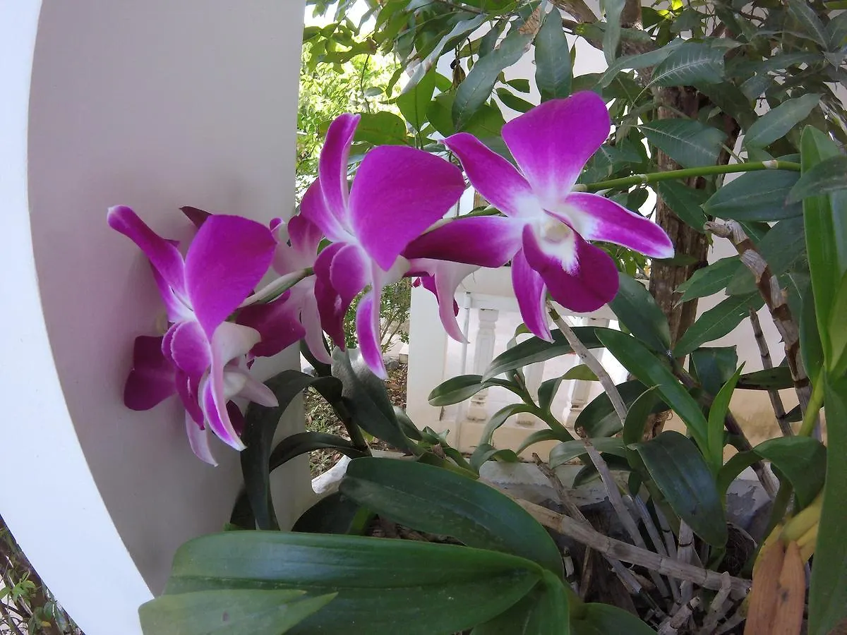 Flamant Rose Hotel Preăh Sihanŭk